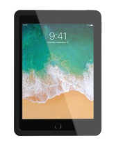 Standalone image of a iPad mini 4