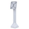 RAM® 14" Pedestal Mount with 100mm & 75mm VESA Patterns - Gray